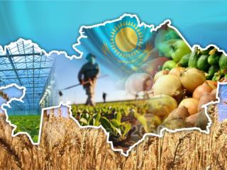 Өңдеу өнеркәсібі экономикалық кезеңнің өзегі болмақ