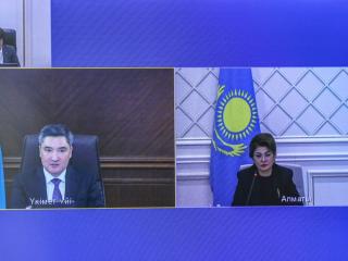 Талдау қосарланған қаржыландырудың кең таралған екі жағдайын анықтады