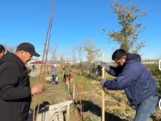 «ТАЗА ҚАЗАҚСТАН» АКЦИЯСЫ АЯСЫНДА ТАЛ ЕГУ ЖҰМЫСТАРЫ ЖАЛҒАСУДА