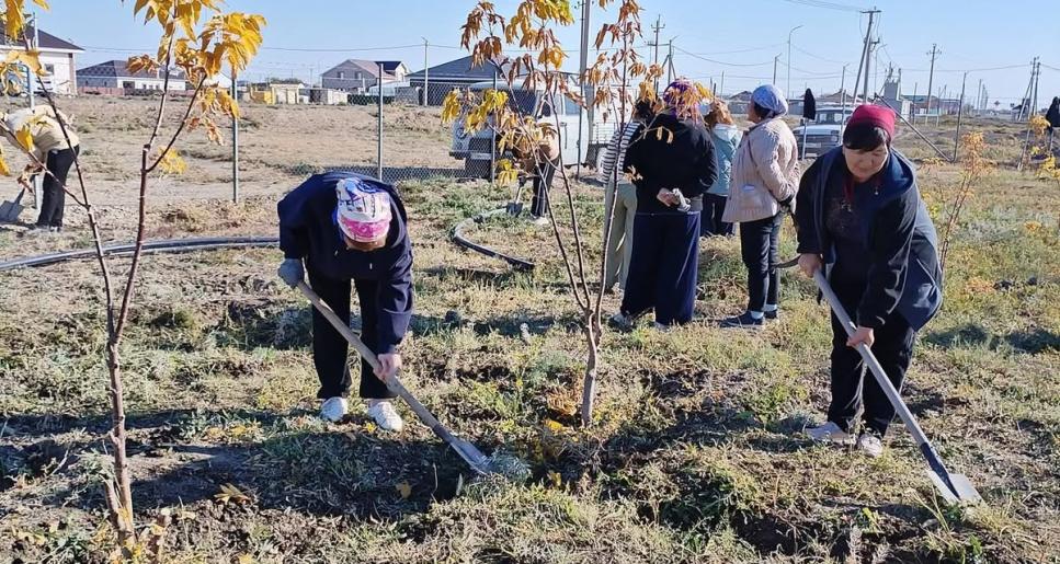 Бақсайда сенбілік ұйымдастырылды