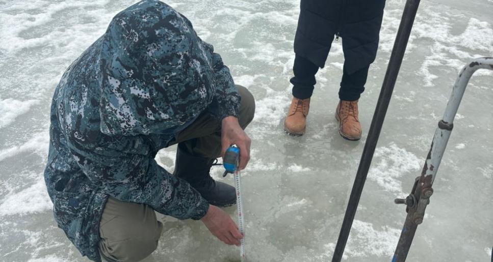 Ихтиофаунаны қорғау маңызды