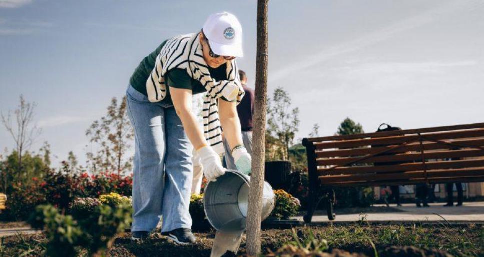 Былтыр Атырауда 27 мыңға жуық ағаш көшеті отырғызылды