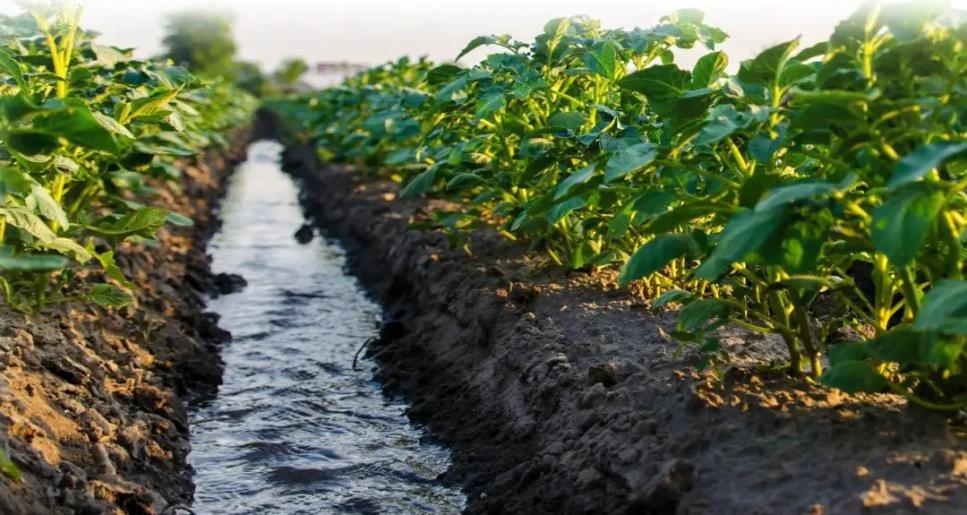 Су-энергетика ресурстарының жаңа картасы: Қазақстанның су қоры онжылдықтарға жете ме