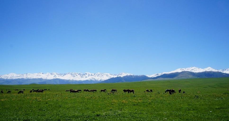 Жерді тиімді пайдалану - халық игілігі үшін